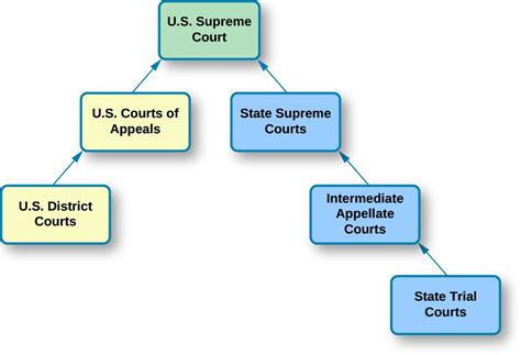 Navigating the Court System