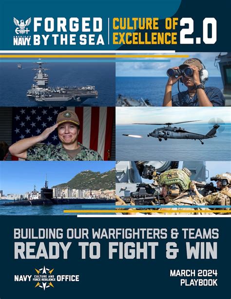 Navy Accountability