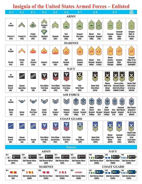 Navy Corpsman Rank Structure