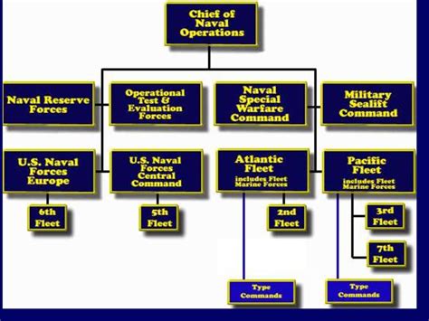 Navy Hierarchy Chart