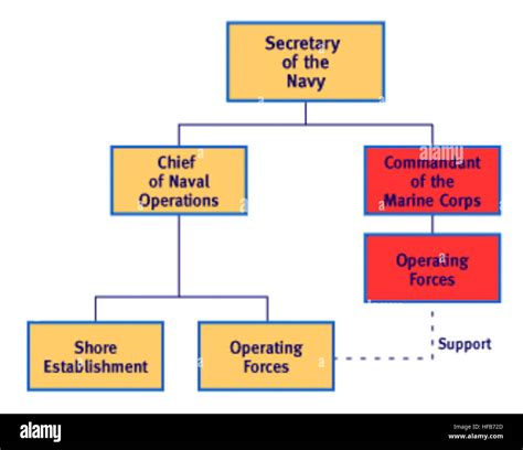 Navy Organization