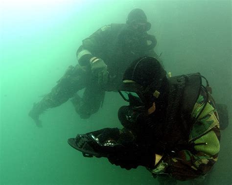 Navy SEAL Swim Pair