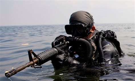 Navy SEALs Operations