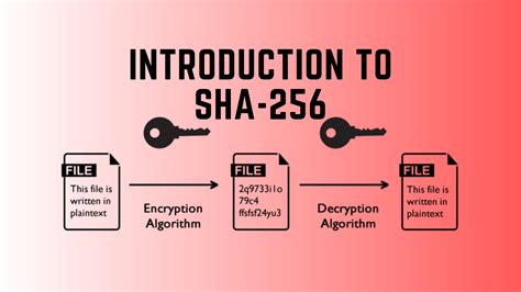 Network Exploitation