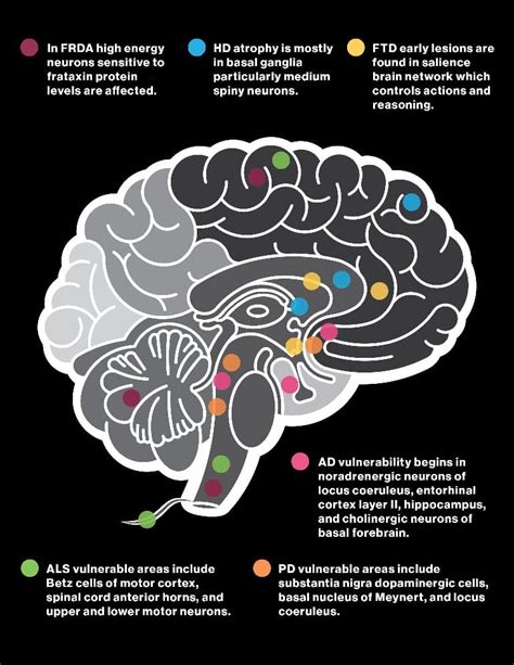 Neurodegenerative Diseases