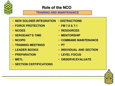 Non-commissioned roles in education