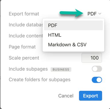 Notion Export Options