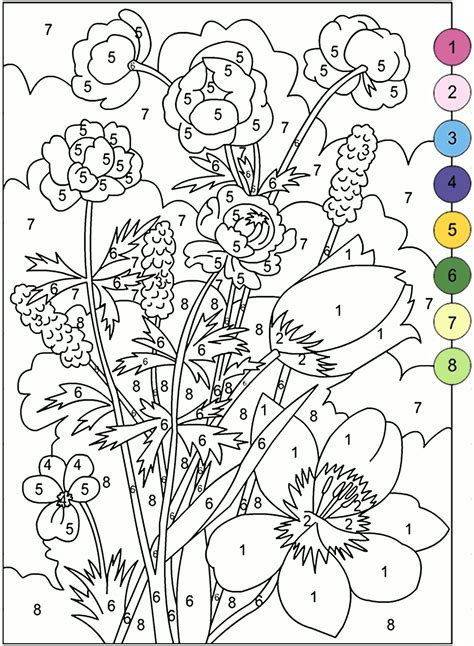 Description of Number Coloring Books