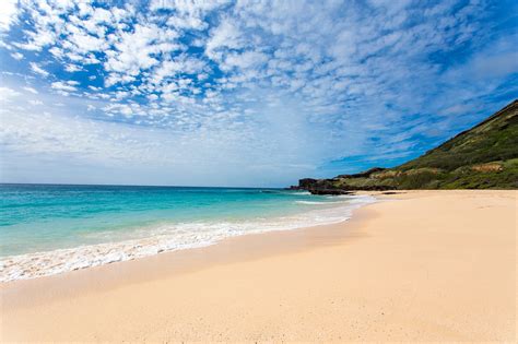 Oahu Beaches and Jellyfish