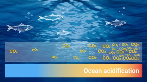 Marine chemists studying ocean acidification