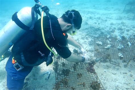 A person holding a sign that reads 'Save the Ocean'