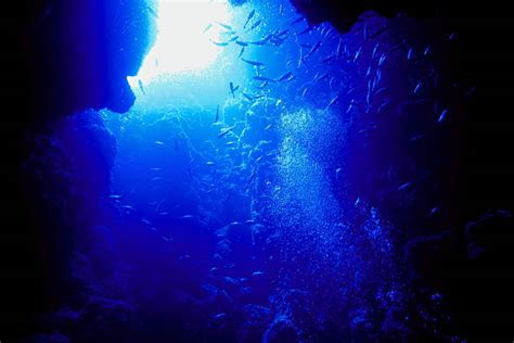 A deep-sea submersible exploring the ocean's abyss