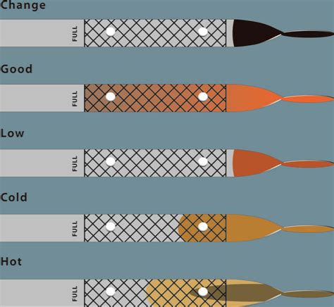 Oil Levels