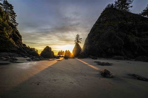 Olympic National Park sunset gallery