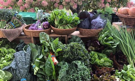 Oneonta Farmers Market