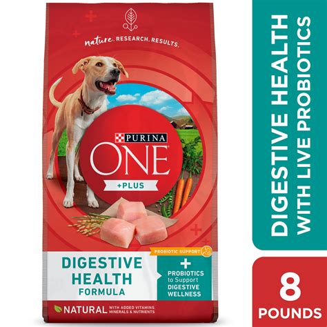 Organic Dog Treats for Digestive Health