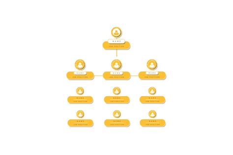 A diagram showing a typical organizational chart