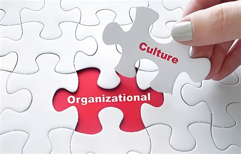 Organizational Culture