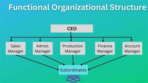 A diagram showing a typical organizational structure