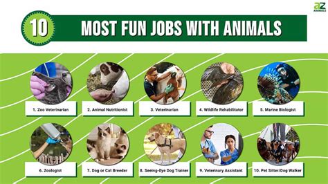 Other jobs for animal lovers