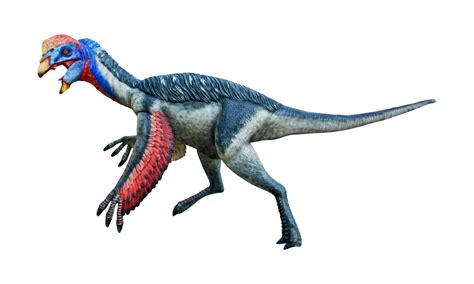 Oviraptor Image