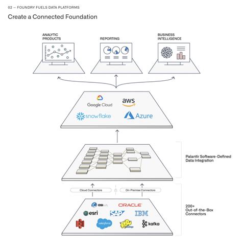 Palantir Software