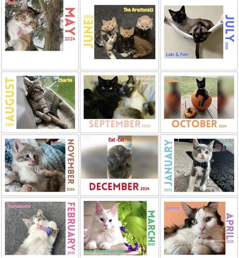 Paw Print Calendar Ideas