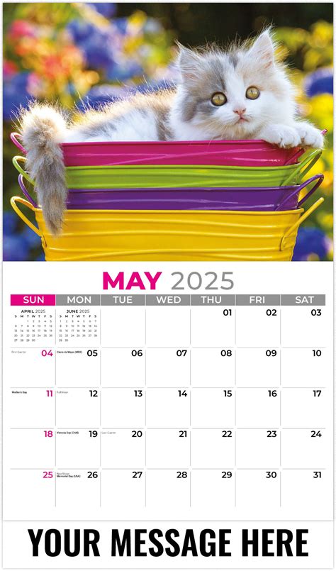 Paw Print Calendar Ideas for Pets