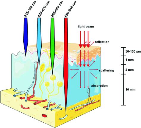 Penetration depth