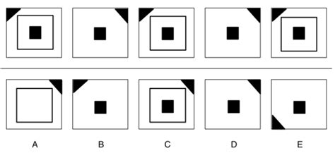 Perceptual Reasoning Test Questions