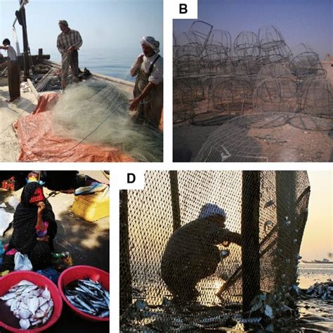 Persian Gulf Fisheries