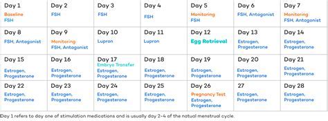 Personalized IVF calendar