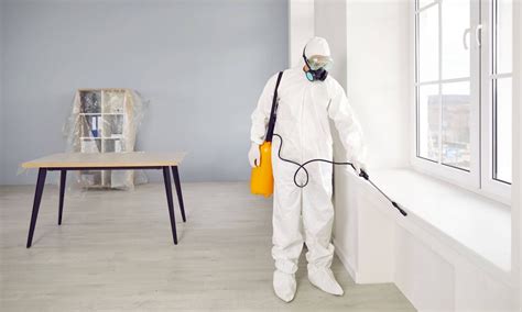 Pest Control Image 6