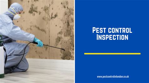 Pest Control Inspection