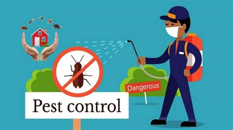 Pest Control Prevention