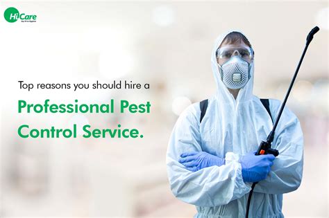 Pest control professional inspecting a property