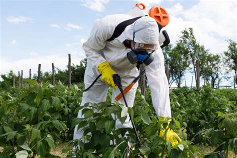 Pest control professional applying pesticides