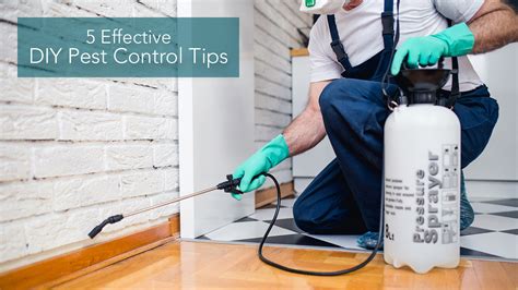 Pest control professional providing pest control advice