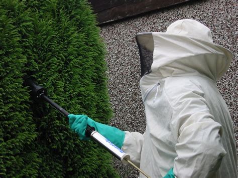 Pest control professional removing pest nests