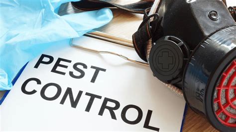 Pest Control Solutions