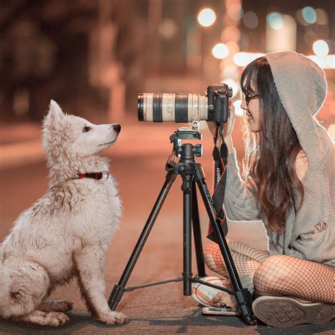 Pet photographer jobs