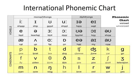 Phonetic Alphabet Resources