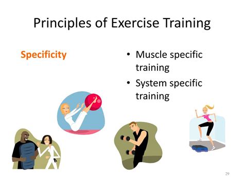 Physical Training Principles