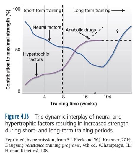 The Physiology of Time