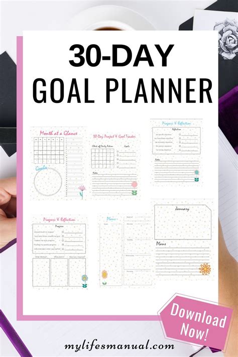 Planner Goals