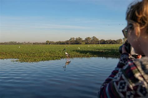 Planning Bird Watching Trips