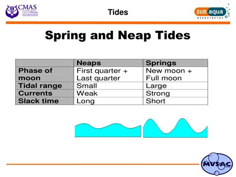 Planning Tides