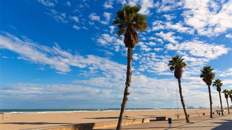 Playa de la Patacona en la marina