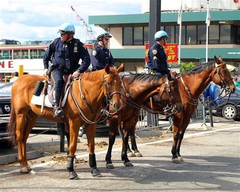 Police Officers on Horseback