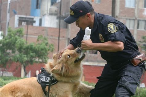 Policía Canina